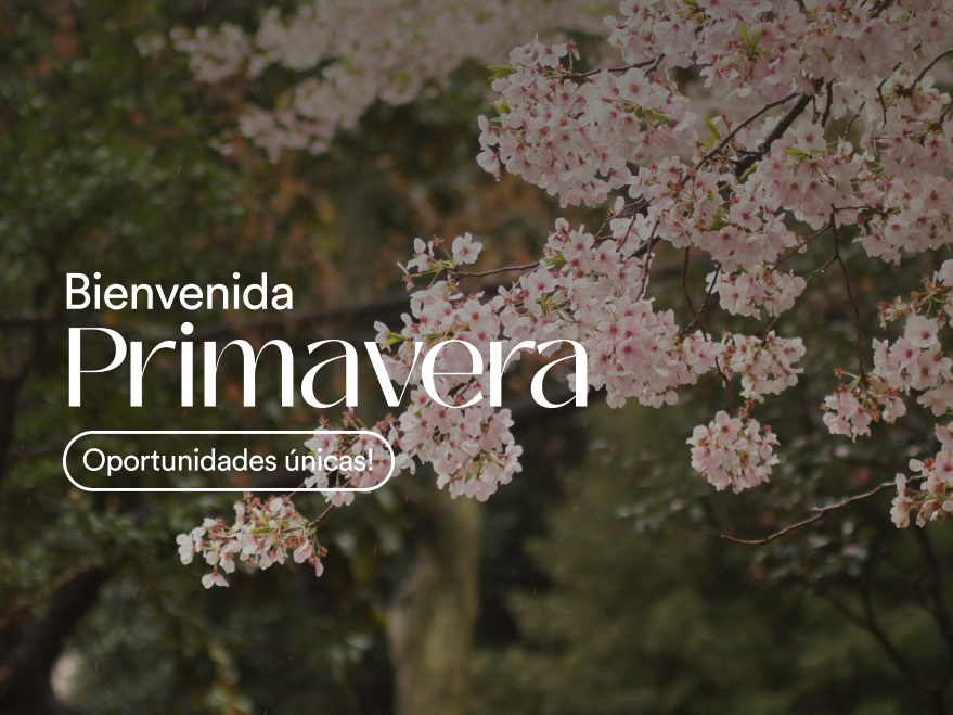 PRIMAVERA